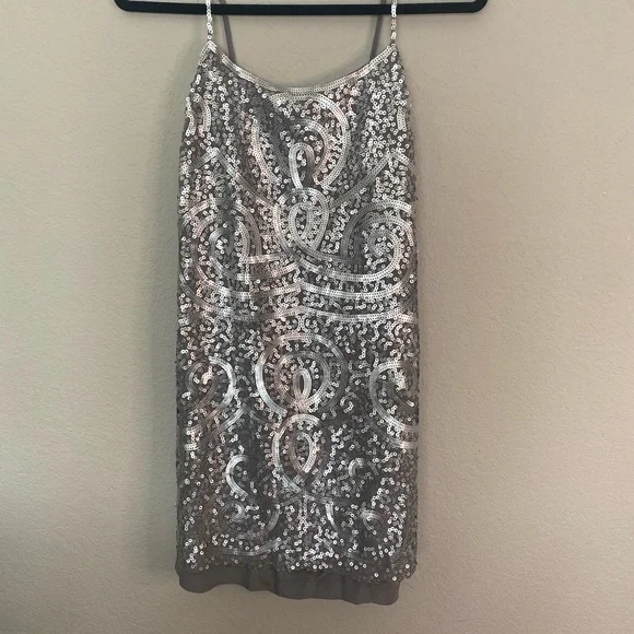 bcbg silver sequin dress Sequin Silver Fringe Cocktail Dress La Divine CM375 Sparkly Gowns